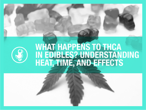 Close-up image of cannabis flower with bold text overlay that reads “What Happens to THCA in Edibles? Understanding Heat, Time, and Effects.” The visual emphasizes heat’s role in THCA activation for cooking or infusion.