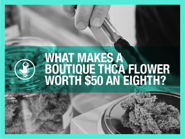 What Makes a Boutique THCA Flower Worth $50 an Eighth?