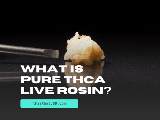 image showcasing rosin asking the question "What is Pure THCa Live Rosin?"