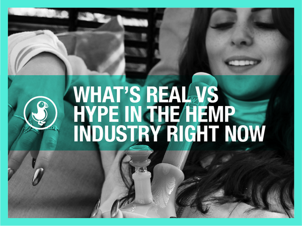 What’s Real vs Hype in the Hemp Industry Right Now