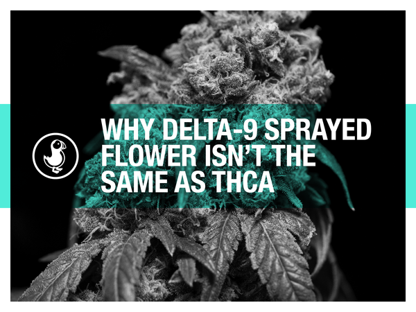 Why Delta-9 Sprayed Flower Isn’t the Same as THCA