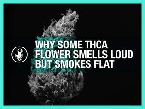 THCA flower smells loud but smokes flat — close-up of frosty hemp bud explaining terpenes, cure and humidity
