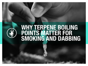 Why Terpene Boiling Points Matter for Smoking and Dabbing