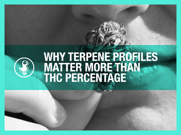 Why Terpene Profiles Matter More Than THC Percentage