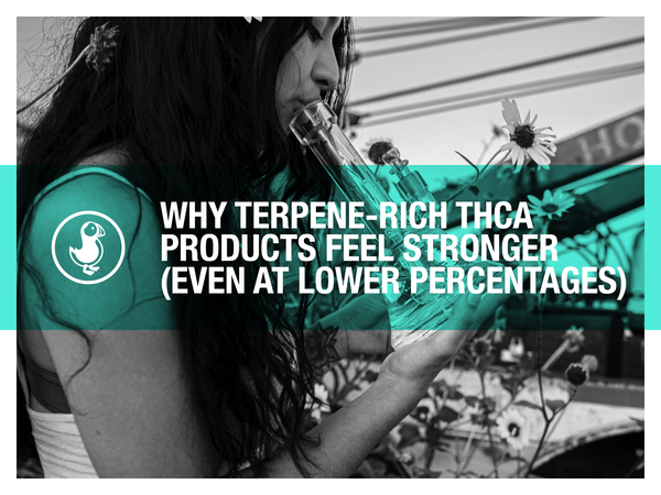 Why Terpene-Rich THCA Products Feel Stronger (Even at Lower Percentages)