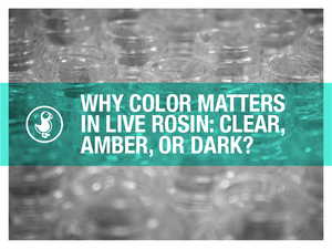 Live rosin jars stacked with a green banner reading 'Why Color Matters in Live Rosin: Clear, Amber, or Dark?' – blog cover image for thisthat CBD.