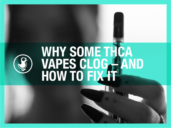 Person holding a THCa vape with overlay text reading 'Why Some THCa Vapes Clog — And How to Fix It' from thisthat
