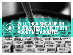Will THCA Show Up on a Drug Test? The Truth About Metabolites