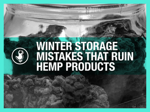 Winter hemp storage mistakes — cold weather damage to THCA flower, vapes, and gummies with prevention tips