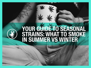 Seasonal THCA strain guide — what to smoke in summer vs winter with terpene-matched hemp flower picks