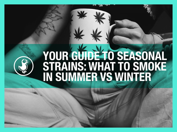 Seasonal THCA strain guide — what to smoke in summer vs winter with terpene-matched hemp flower picks
