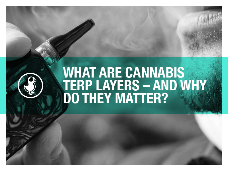 What Are Cannabis Terp Layers – And Why Do They Matter? Learn how terpene layers enhance full-spectrum flower benefits and optimize THCA effects.