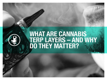 What Are Cannabis Terp Layers – And Why Do They Matter? Learn how terpene layers enhance full-spectrum flower benefits and optimize THCA effects.