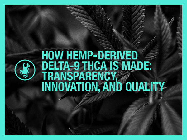 How Hemp-Derived Delta-9 THCA Is Made – Black and white cannabis leaves with a teal overlay and thisthat CBD logo