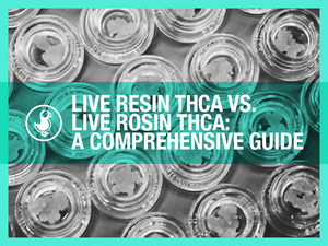 Live Resin THCA vs. Live Rosin THCA – A Comprehensive Guide. Stacked jars of THCA extracts with a teal overlay and thisthat CBD branding.
