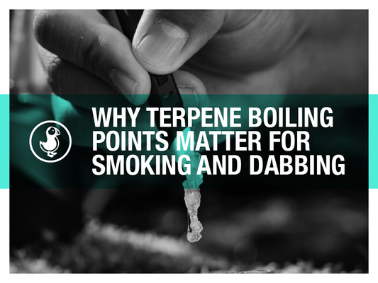 Why Terpene Boiling Points Matter for Smoking and Dabbing | thisthat CBD Blog on THCA Vapes, Rosin, and Delta-9 Gummies