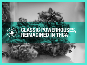 Classic Powerhouses, Reimagined in THCA