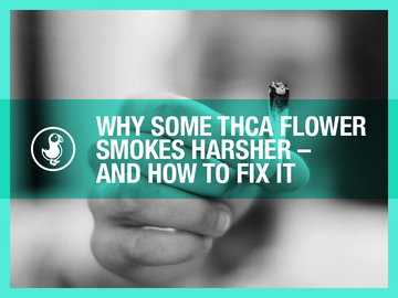 Why Some THCA Flower Smokes Harsh and How to Fix It | thisthat CBD Blog on THCA Flower, Vapes, Rosin & Delta-9 Gummies