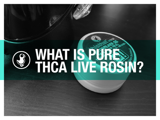 Question about what pure THCA live rosin is, presented with a close-up of the product container, emphasizing the brand and quality, set against a dramatic black and teal background.