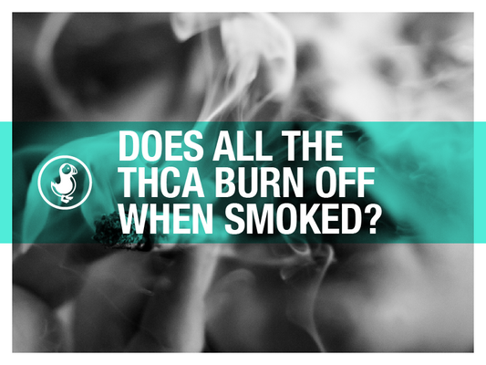 Question about whether all THCA burns off when smoked, featuring smoke visuals and the thisthat brand logo.