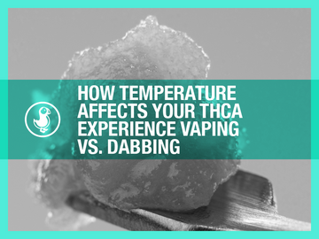 Infographic on how temperature impacts the experience of vaping versus dabbing THCA, highlighting key differences in method and effect with a visual of a THCA concentrate.