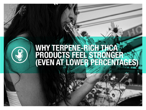 A woman holds a cannabis flower while smiling outdoors, with bold text overlay reading “Why Terpene-Rich THCA Products Feel Stronger (Even at Lower Percentages)” in front of a garden background.