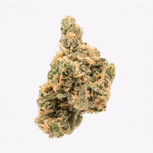 Single floating Blue Dream cannabis bud, showcasing dense, trichome-coated structure against a white background.