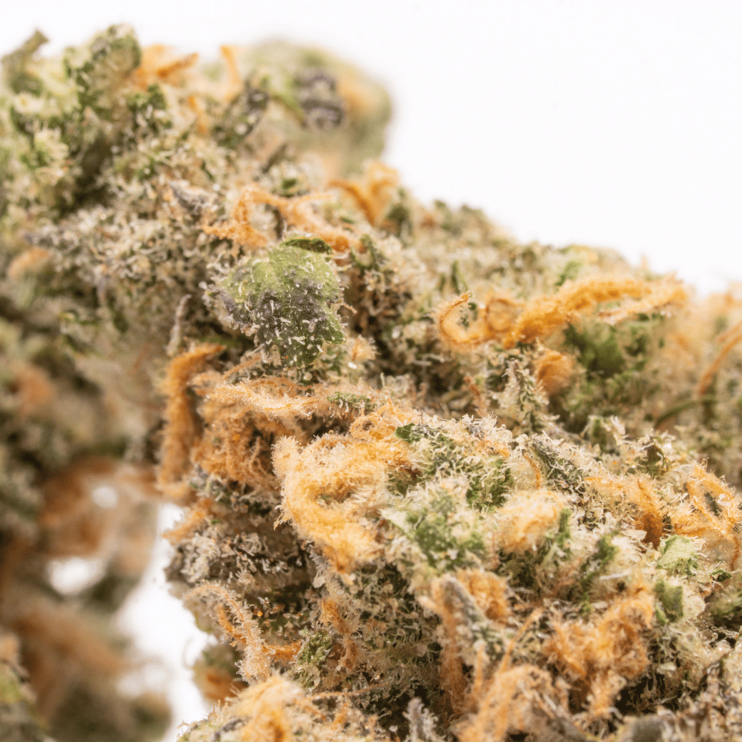 Macro close-up of Blue Dream cannabis bud, highlighting frosty trichomes and orange pistils in intricate detail.