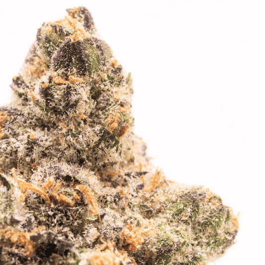 Detailed view of Fruit Jelly bud, highlighting orange trichomes and frosty crystal coating.