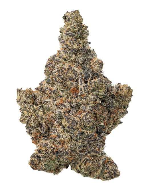 Close-up of a dense Garlic Budder cannabis bud, covered in frosty trichomes with hues of green, purple, and orange pistils.