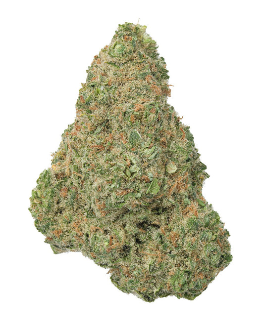Close-up of Green Crack Hydro indoor-grown THCa flower, showing frosty trichomes and dense green-orange structure on a white background

