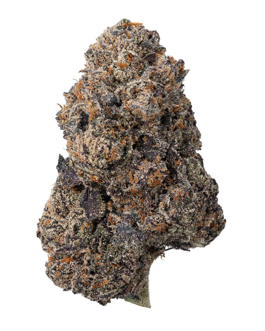 Close-up of King Louis XIII THCa indica flower — deep purple hues, heavy trichomes, and orange pistils on a dense nug