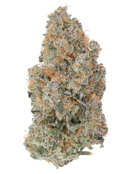 Peaches N Cream cannabis strain – high-quality hybrid flower with frosty trichomes, vibrant orange hairs, and a sweet, fruity aroma profile, ideal for balanced relaxation and mood enhancement.