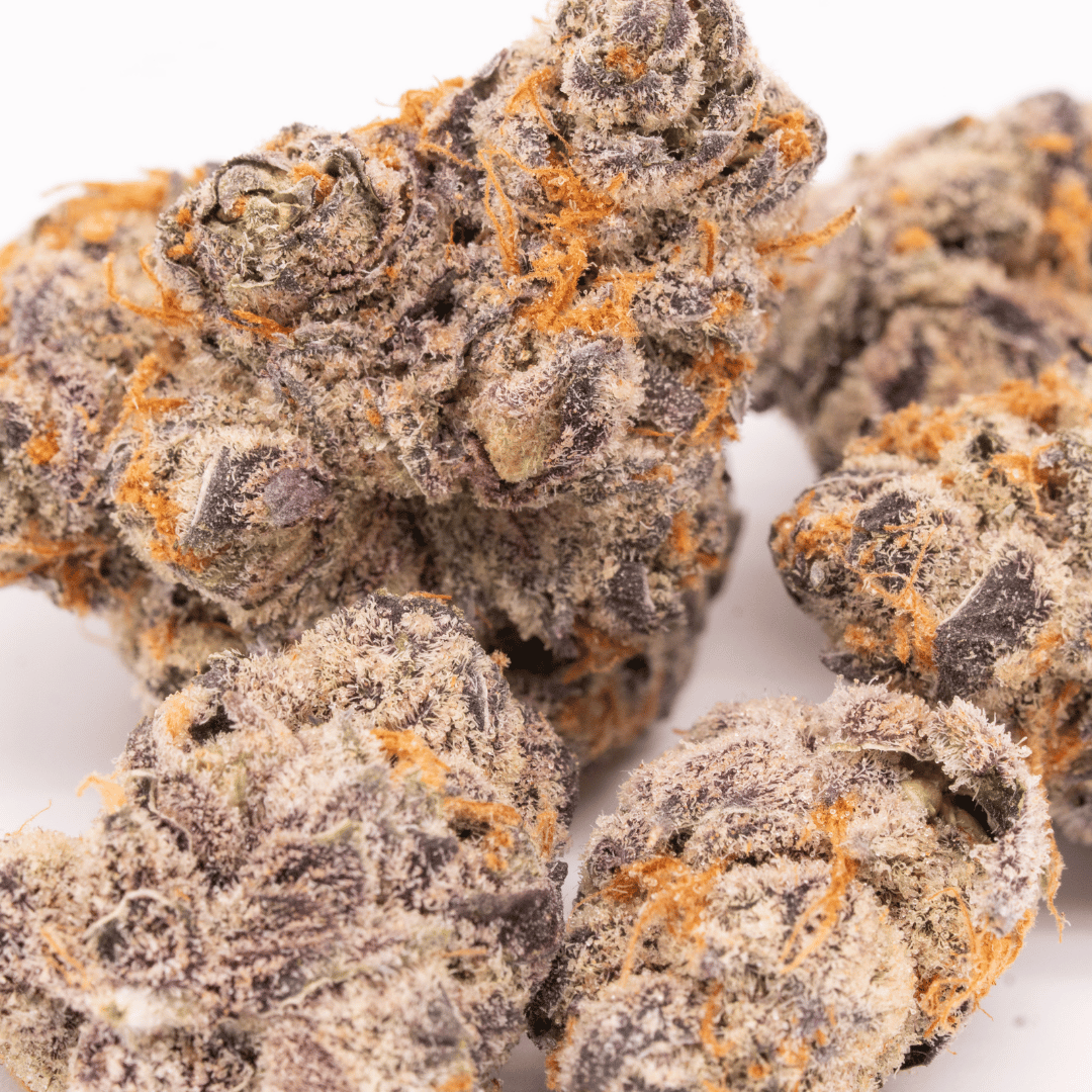 Detailed shot of a single Super Lemon Cherry Gelato bud, showing a thick coating of crystals and contrasting orange hairs over a purple and green background.