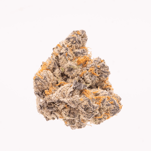 Single Super Lemon Cherry Gelato #6 nug on a white background, showcasing its dense structure, purple undertones, and abundant trichomes.