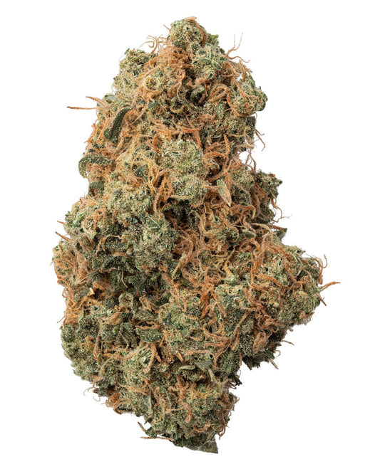 Close-up of White Widow THCA hydroponic cannabis flower showing dense structure, orange hairs, and trichome coverage.