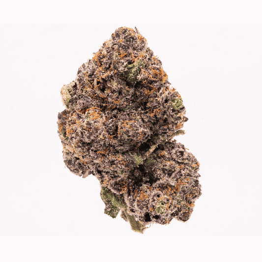 A full view of a single Zerbert THCa bud, highlighting its dense structure, vibrant green hues, and orange pistils.