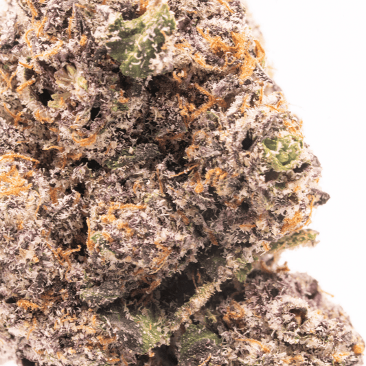 Close-up of a single Zerbert THCa bud showcasing its dense structure, frosty trichomes, and vibrant green and purple hues.