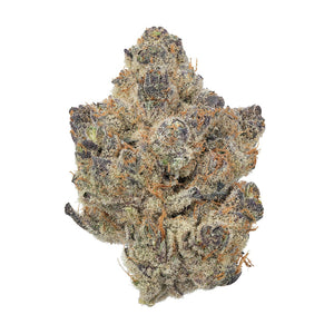 Neptune's Taint (28.253%) THCa Flower
