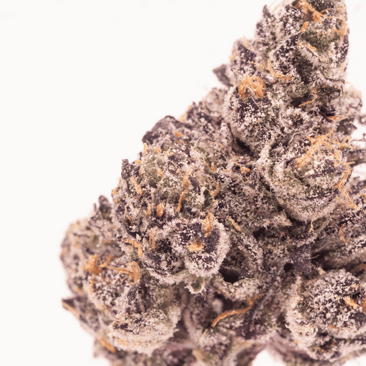 Close-up of Headbanger THCa flower displaying trichome density and vibrant colors.