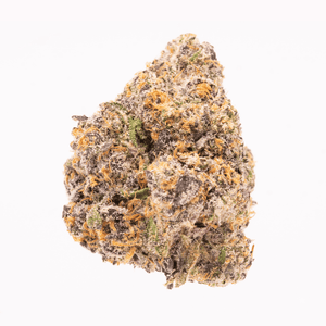 Full-body shot of a single Rainbow Runtz bud showcasing vibrant trichomes and detailed structure.