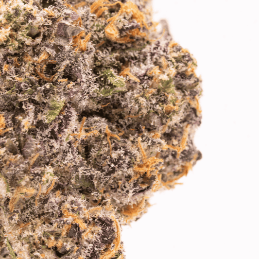 Close-up of Rainbow Runtz bud highlighting dense trichomes and frosty resin.